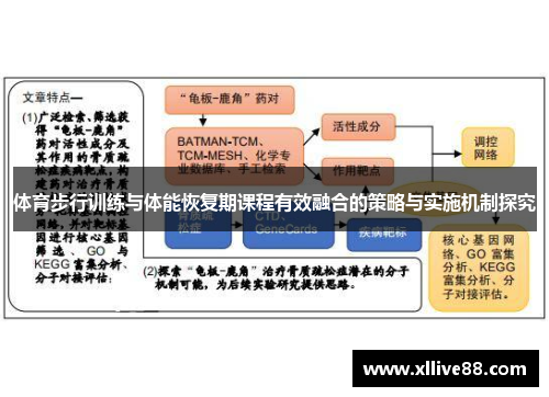 体育步行训练与体能恢复期课程有效融合的策略与实施机制探究